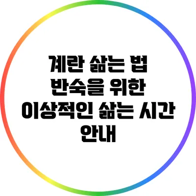 계란 삶는 법: 반숙을 위한 이상적인 삶는 시간 안내