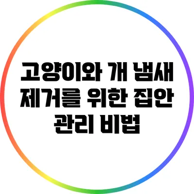고양이와 개 냄새 제거를 위한 집안 관리 비법
