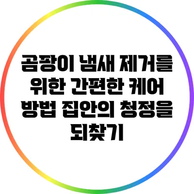곰팡이 냄새 제거를 위한 간편한 케어 방법: 집안의 청정을 되찾기