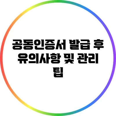 공동인증서 발급 후 유의사항 및 관리 팁