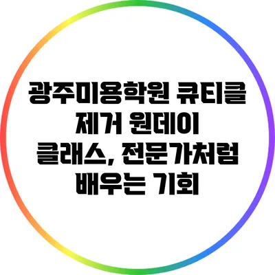 광주미용학원 큐티클 제거 원데이 클래스, 전문가처럼 배우는 기회
