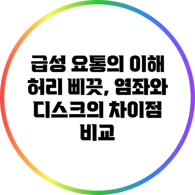 급성 요통의 이해: 허리 삐끗, 염좌와 디스크의 차이점 비교