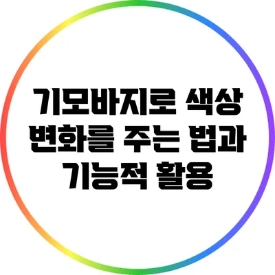기모바지로 색상 변화를 주는 법과 기능적 활용