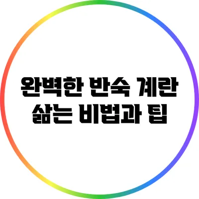 완벽한 반숙 계란 삶는 비법과 팁
