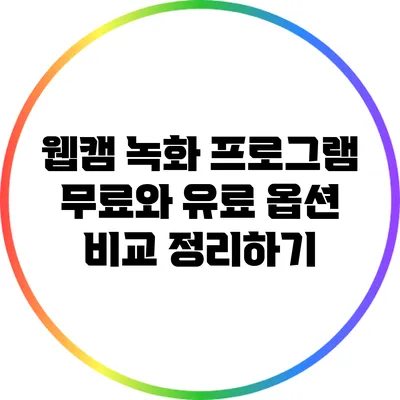 웹캠 녹화 프로그램: 무료와 유료 옵션 비교 정리하기