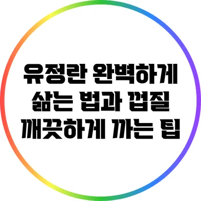 유정란 완벽하게 삶는 법과 껍질 깨끗하게 까는 팁