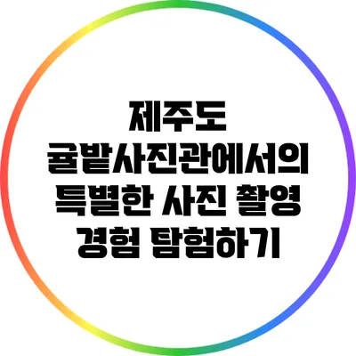 제주도 귤밭사진관에서의 특별한 사진 촬영 경험 탐험하기