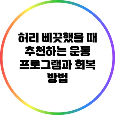 허리 삐끗했을 때 추천하는 운동 프로그램과 회복 방법