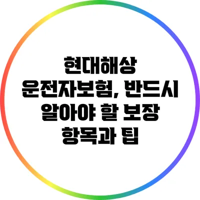 현대해상 운전자보험, 반드시 알아야 할 보장 항목과 팁