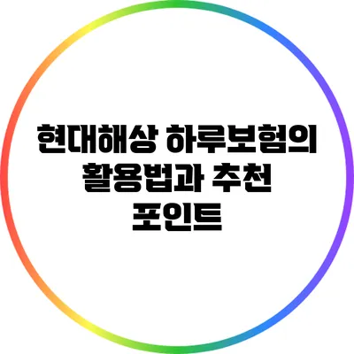 현대해상 하루보험의 활용법과 추천 포인트