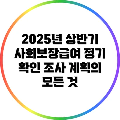 2025년 상반기 사회보장급여 정기 확인 조사 계획의 모든 것