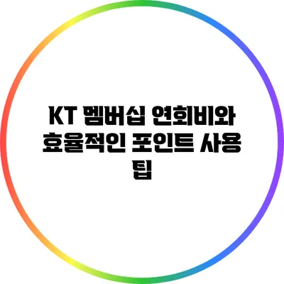 KT 멤버십 연회비와 효율적인 포인트 사용 팁