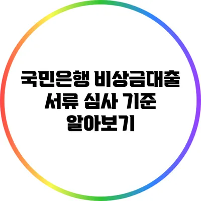 국민은행 비상금대출 서류 심사 기준 알아보기