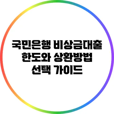 국민은행 비상금대출 한도와 상환방법 선택 가이드