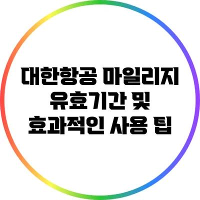 대한항공 마일리지 유효기간 및 효과적인 사용 팁
