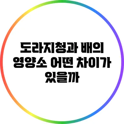 도라지청과 배의 영양소: 어떤 차이가 있을까?