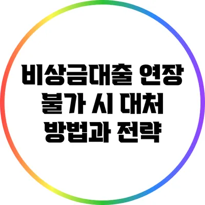 비상금대출 연장 불가 시 대처 방법과 전략
