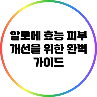 알로에 효능: 피부 개선을 위한 완벽 가이드