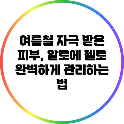 여름철 자극 받은 피부, 알로에 젤로 완벽하게 관리하는 법