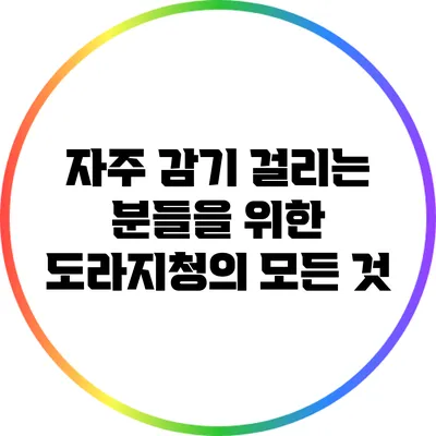 자주 감기 걸리는 분들을 위한 도라지청의 모든 것