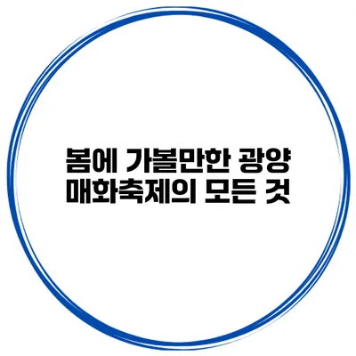 봄에 가볼만한 광양 매화축제의 모든 것